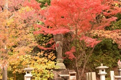 槇尾山_施福寺