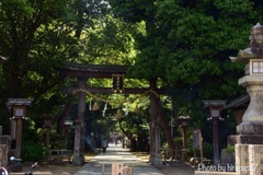 辛国神社参道