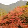 紅葉始まる