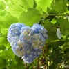 幸せになりますように♡