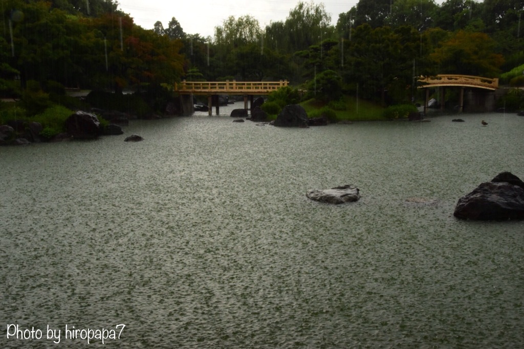 突然の豪雨②