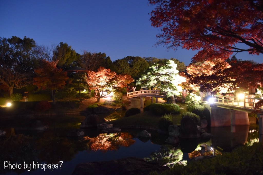 夜の庭園
