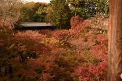 東福寺