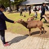 食べて！！