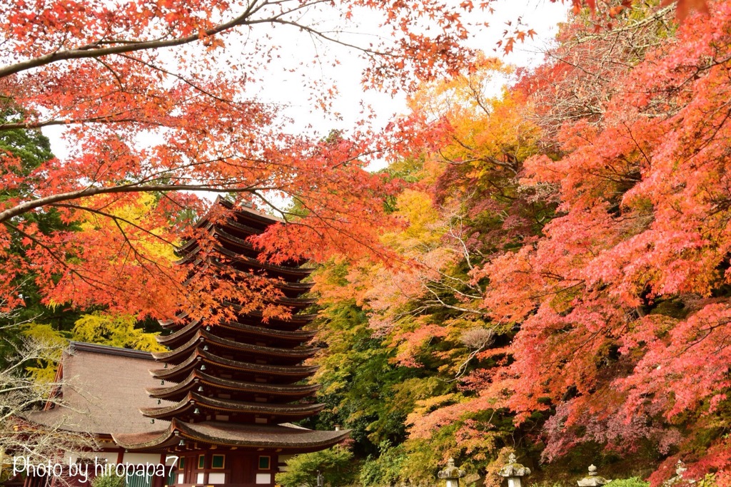 紅葉と十三重の塔