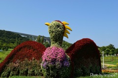 Flower bird