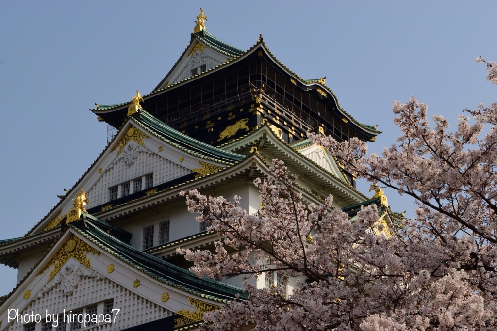 大阪城とサ・ク・ラ