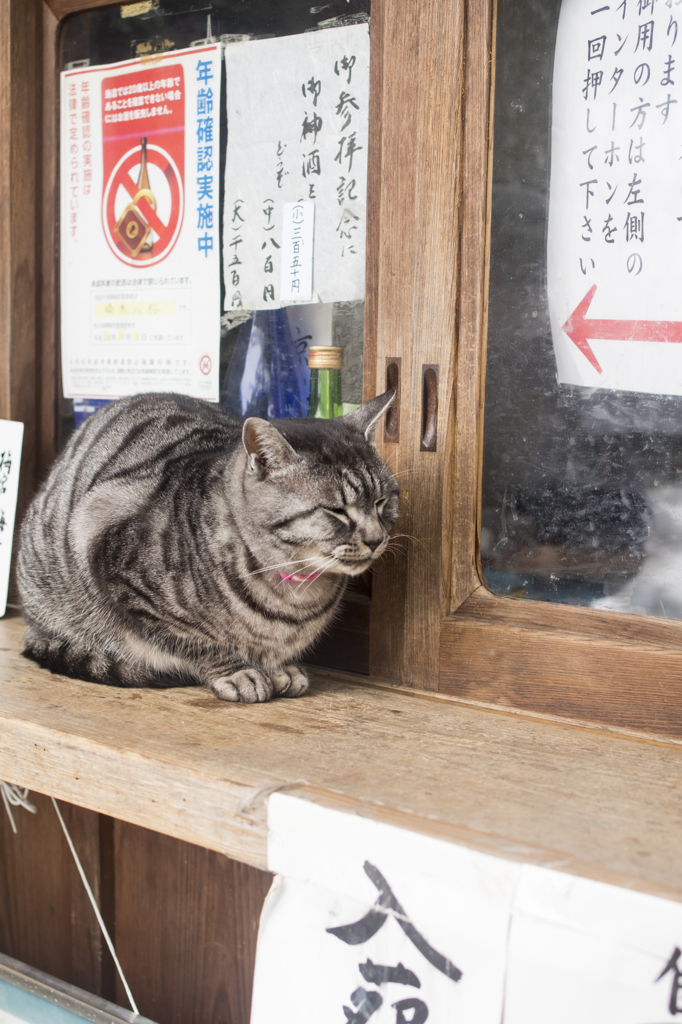 「受付はこちら」　160120