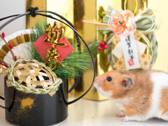 「謹賀新年」