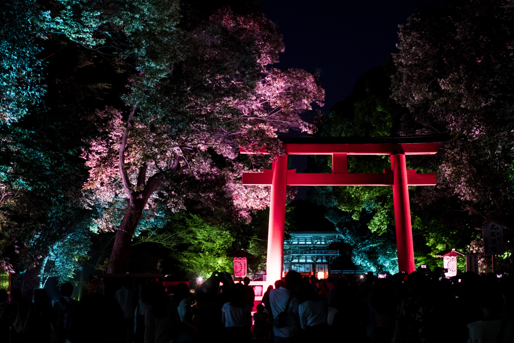 「糺の森の光の祭」