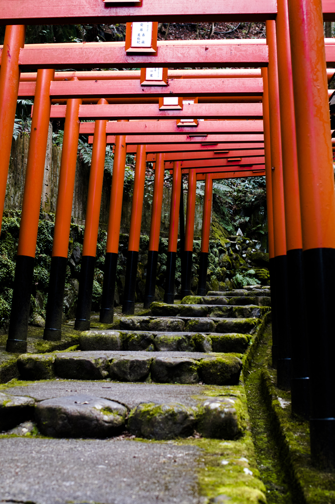 「鳥居」　狸谷山不動院151230