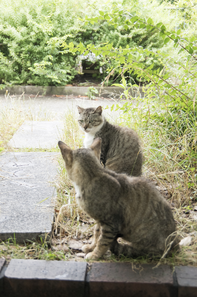 「あ～、だよね～」
