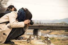 「鳥撮るカメラ女子」