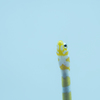 「一筋の」