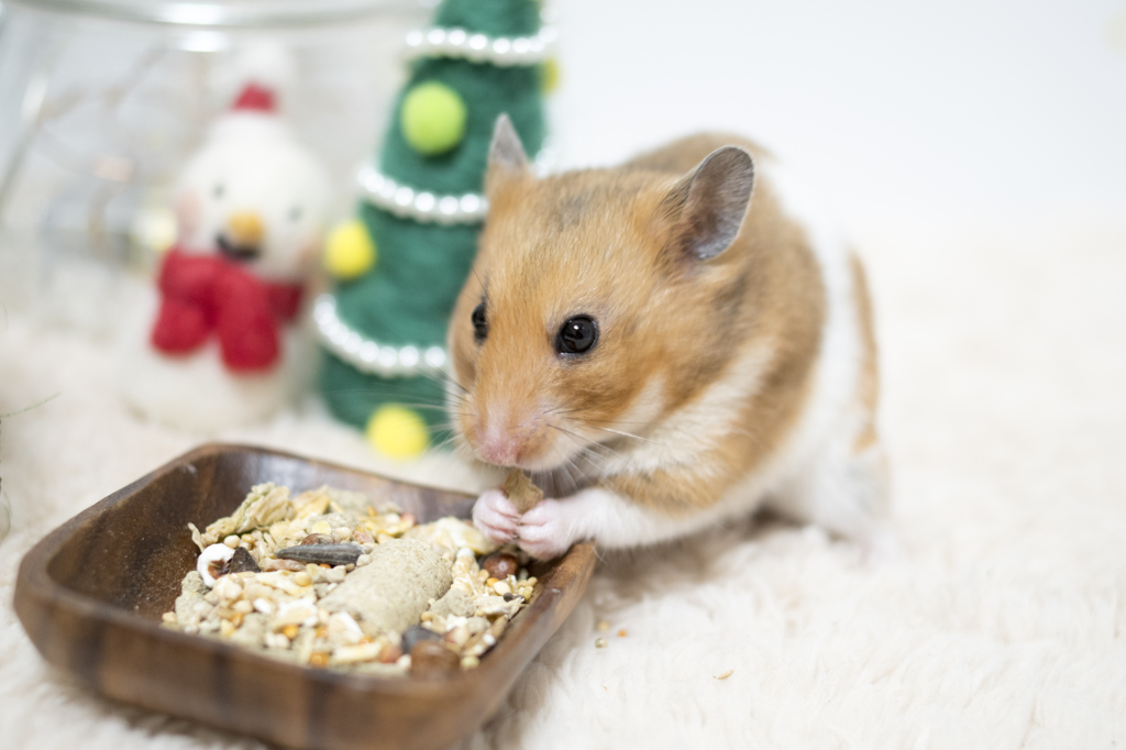 「メリクリ」　小麦151224