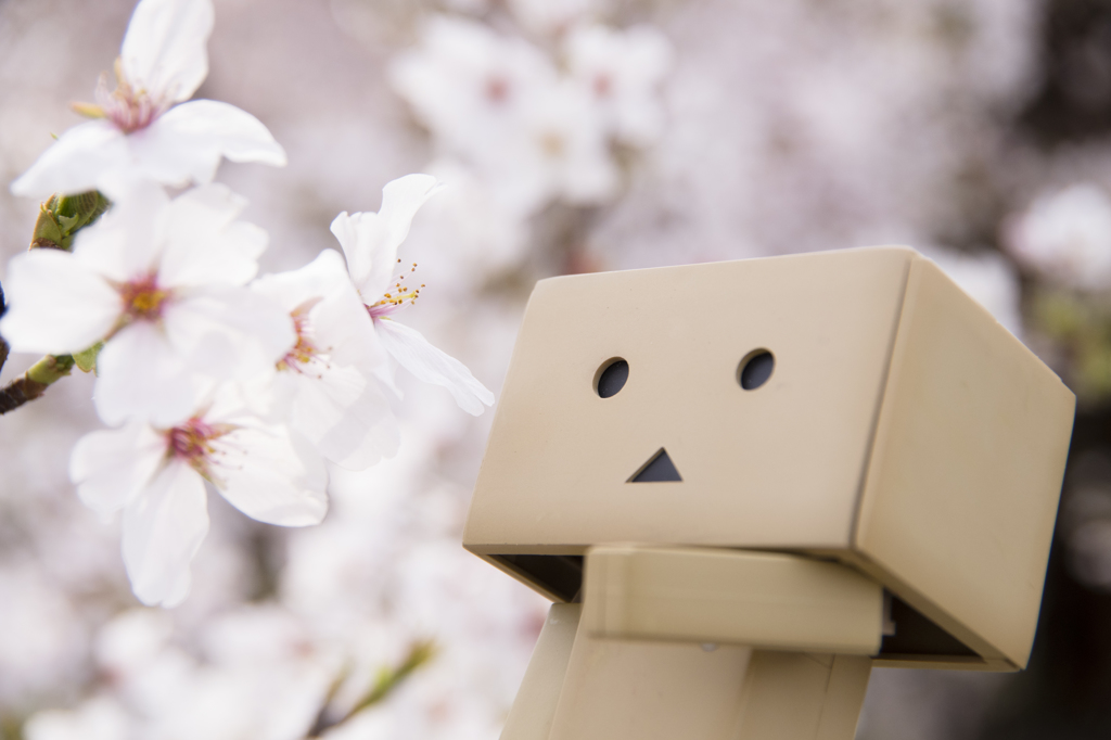 「愛でる」
