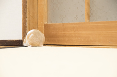 「隣の部屋に行きたいなぁ」151211