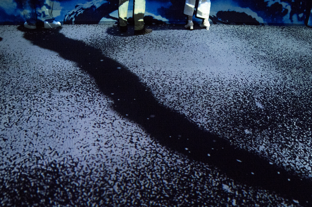 「水族館の雪道」