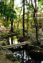 「森の中の川」　平安神宮