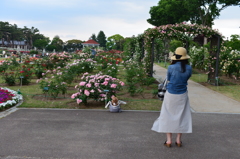 愛犬とともに