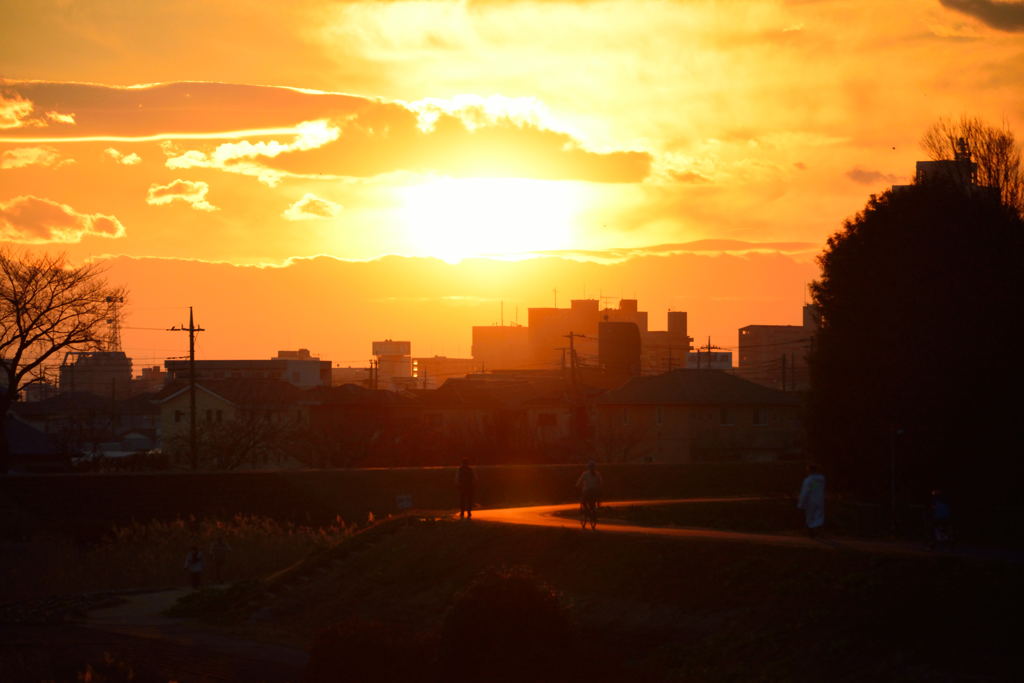 夕日に向かい