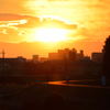 夕日に向かい