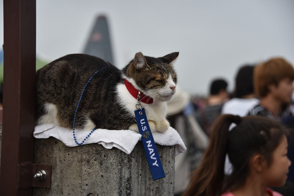 横田基地の最強守り神