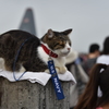 横田基地の最強守り神