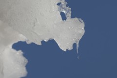 溶けていく