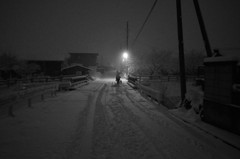 雪の散歩