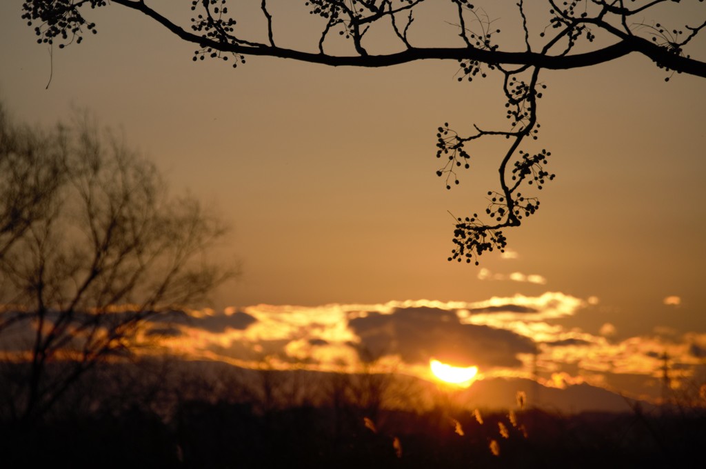 夕日