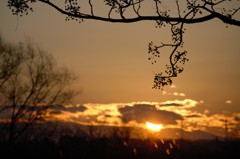 夕日