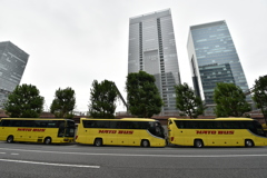 夏のはとバスツアー