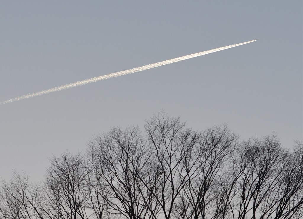 冬の空に飛行機雲