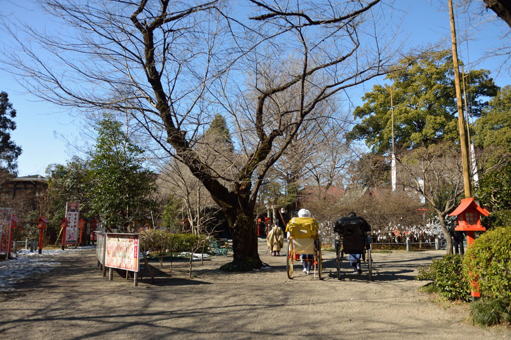 通りまーす