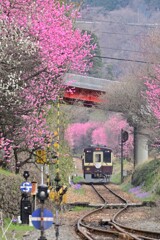 神戸駅