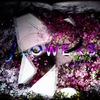 Flower by Naked