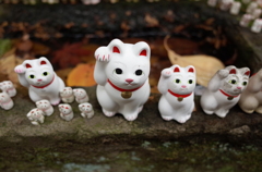 豪徳寺の招き猫