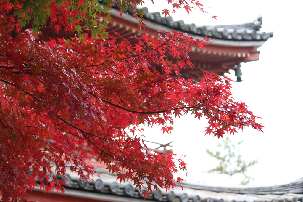 宝福寺