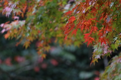 閑谷学校