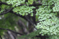 閑谷学校
