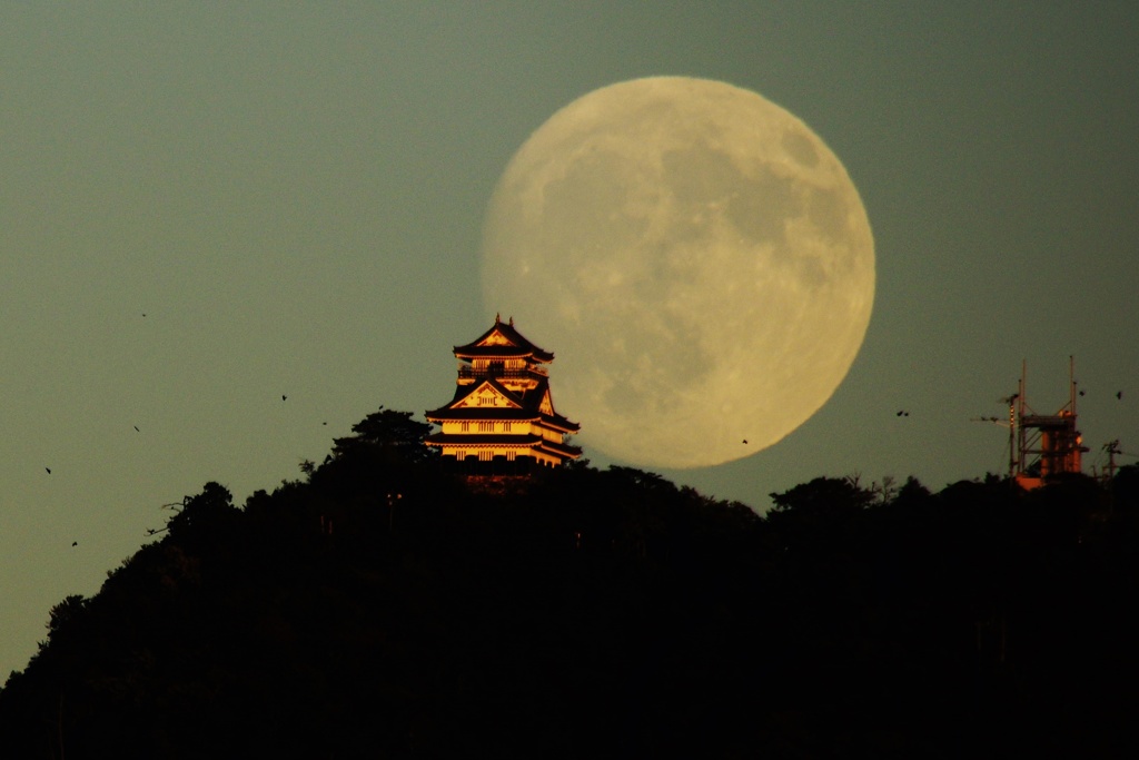 中秋の名月と岐阜城