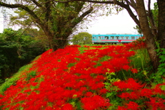 樽見鉄道
