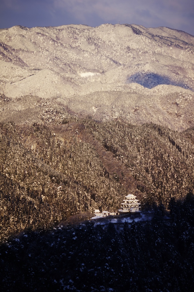 郡上八幡城冬景色