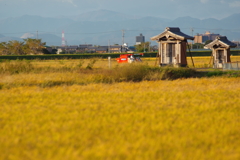 赤いコンバイン