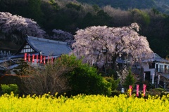 林陽寺