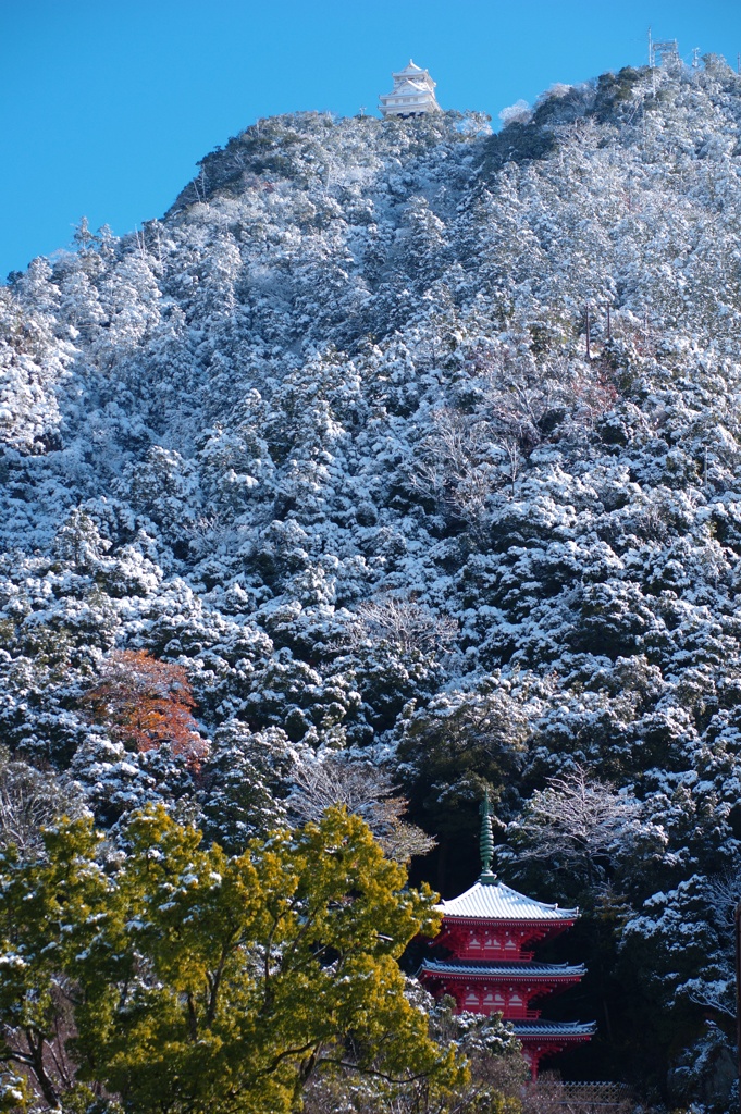白い城