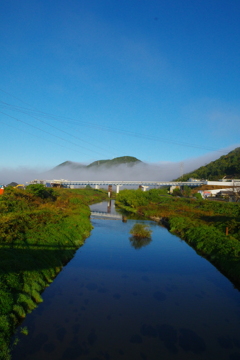 朝霧