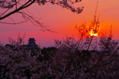 犬山城