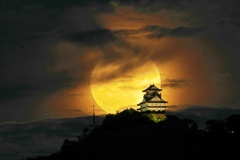 月城
